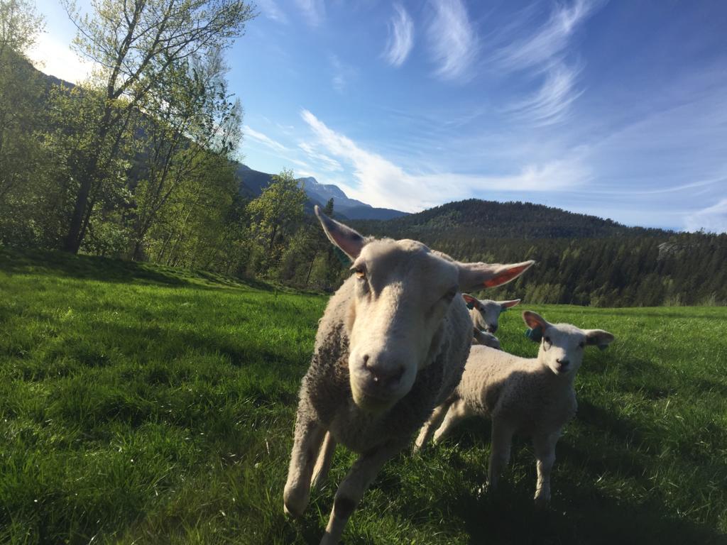 Longdal Villa Tuddal Exteriör bild